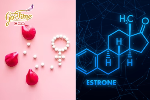 Công dụng của sản phẩm gia công thực phẩm chức năng bổ sung estrogen GOTIME ECO